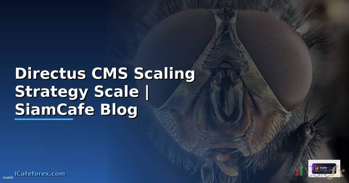 Directus CMS Scaling Strategy วิธี Scale
