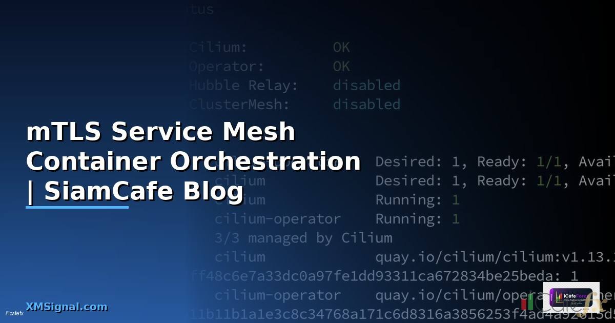 mTLS Service Mesh Container Orchestration