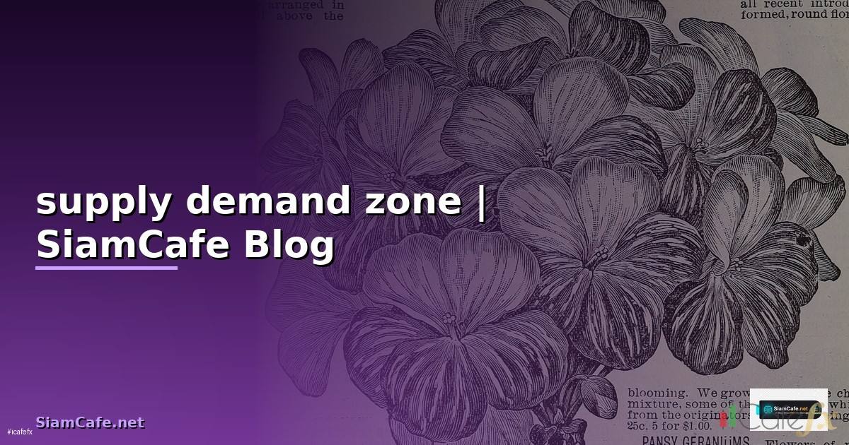 supply demand zone — ข้อมูลครบถ้วน 2026
