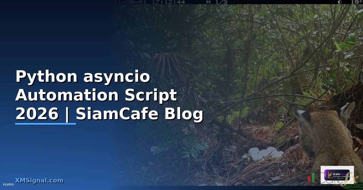 Python asyncio Automation Script