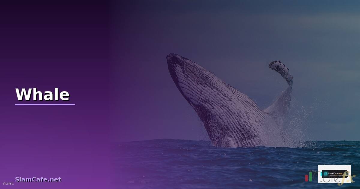 Whale แปลว่าอะไร — วิธีตั้งค่าและใช้งานจริงพร้อมตัวอย่าง