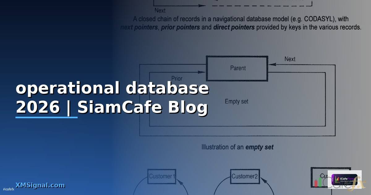 operational database คือ