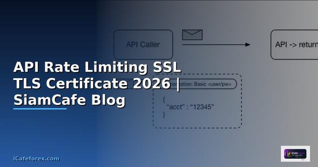 API Rate Limiting SSL TLS Certificate
