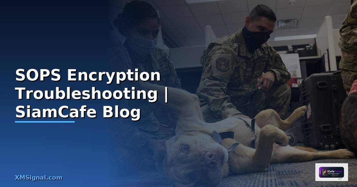 SOPS Encryption Troubleshooting แก้ปัญหา
