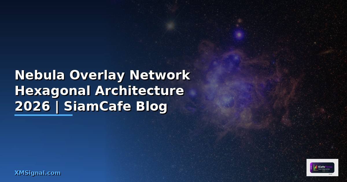 Nebula Overlay Network Hexagonal Architecture