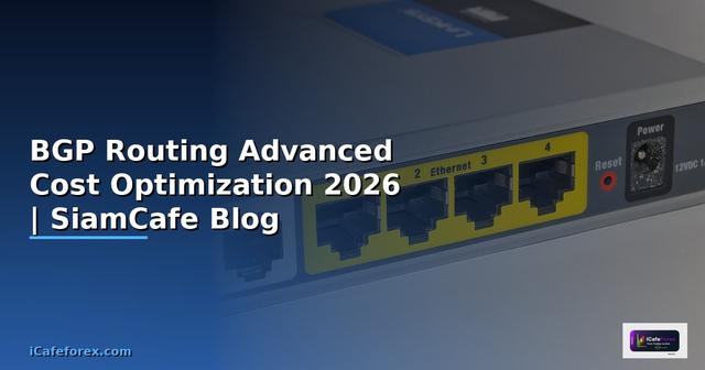 BGP Routing Advanced Cost Optimization