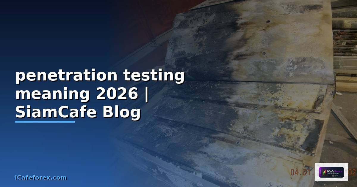 penetration testing meaning