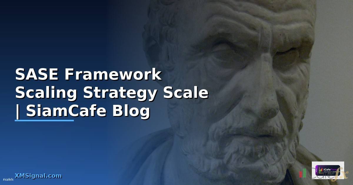 SASE Framework Scaling Strategy วิธี Scale