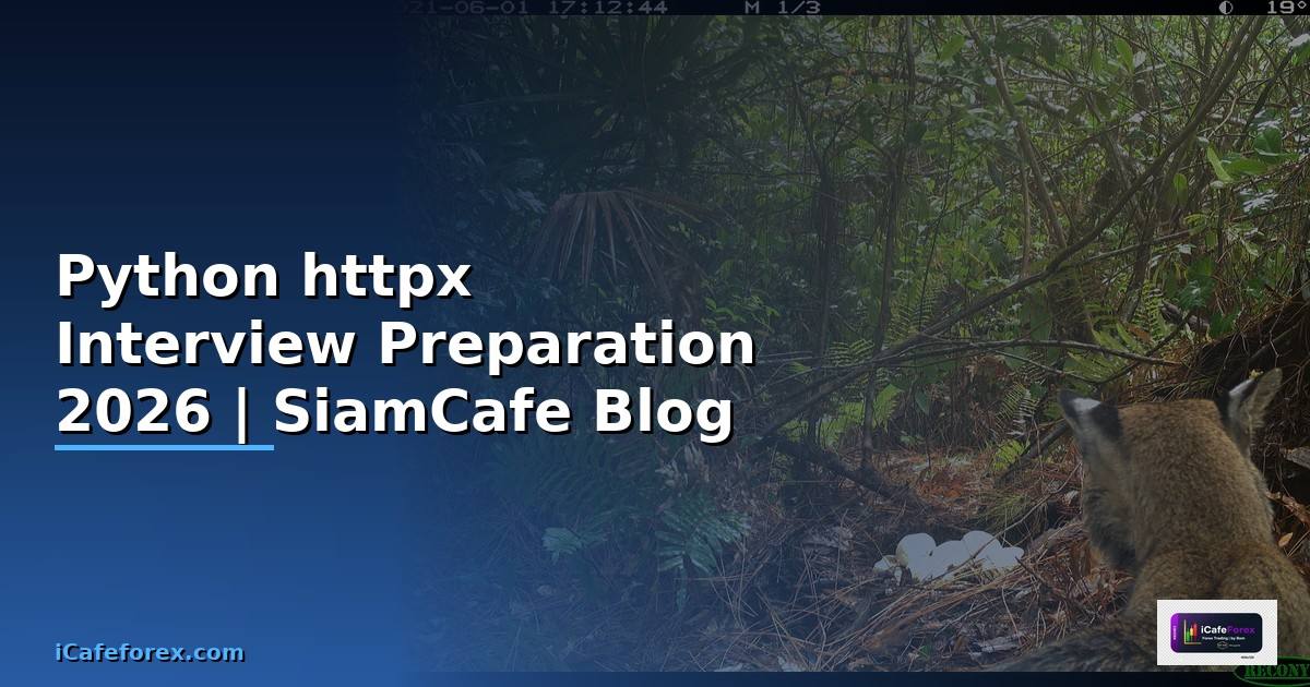 Python httpx Interview Preparation