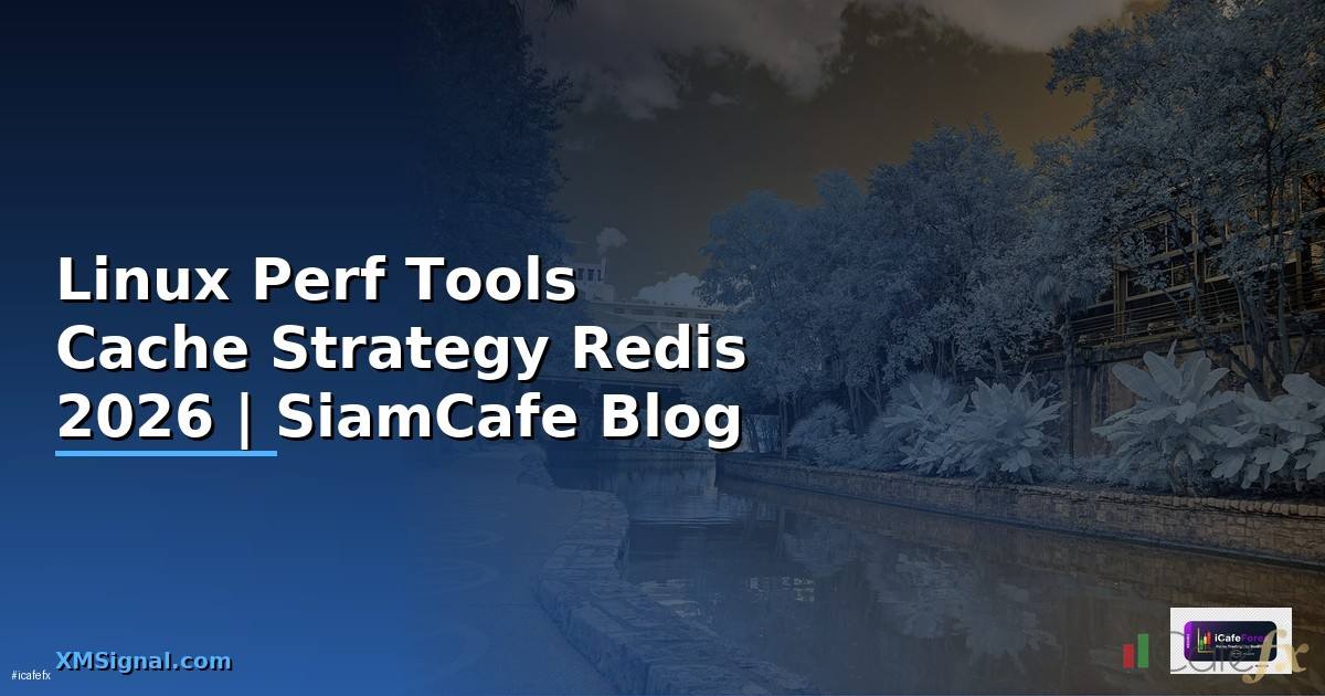 Linux Perf Tools Cache Strategy Redis