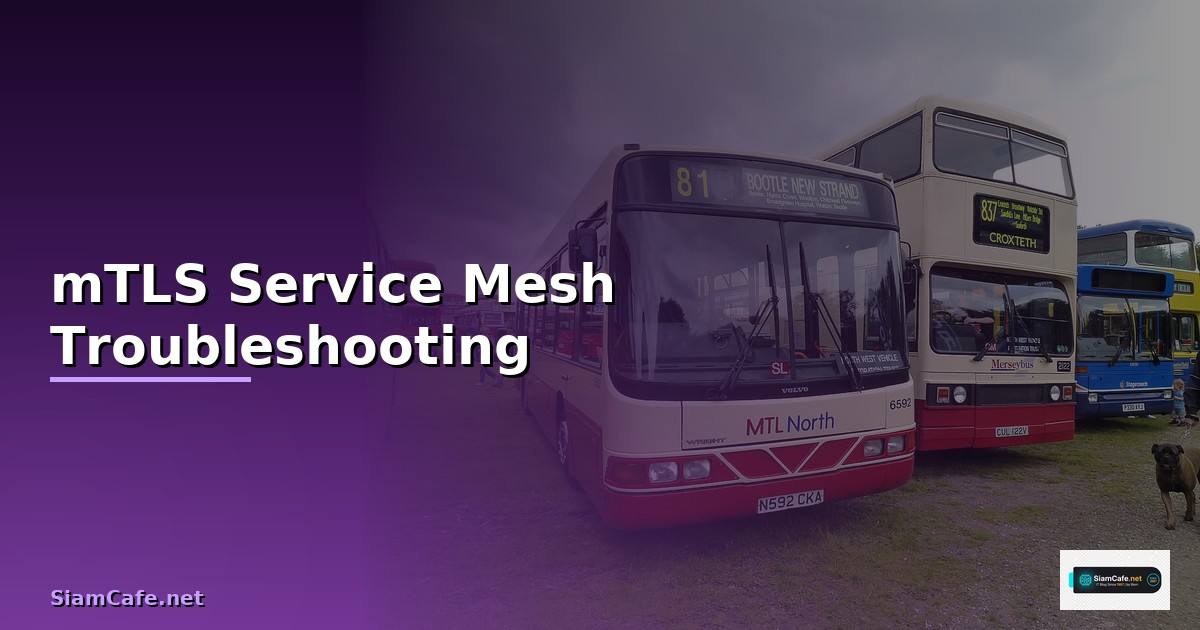 mTLS Service Mesh Troubleshooting แก้ปัญหา —