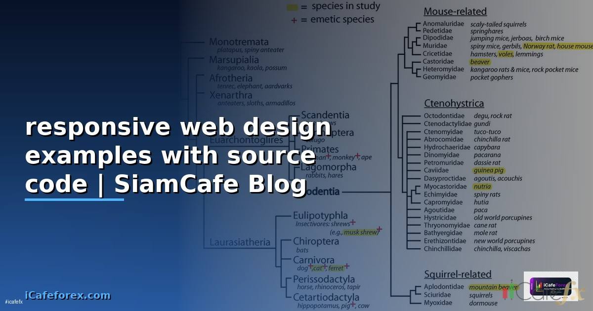 responsive web design examples with source code