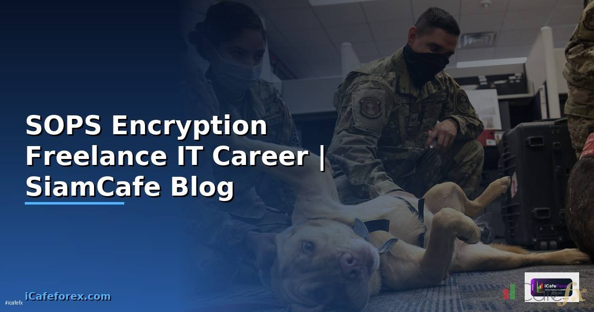 SOPS Encryption Freelance IT Career