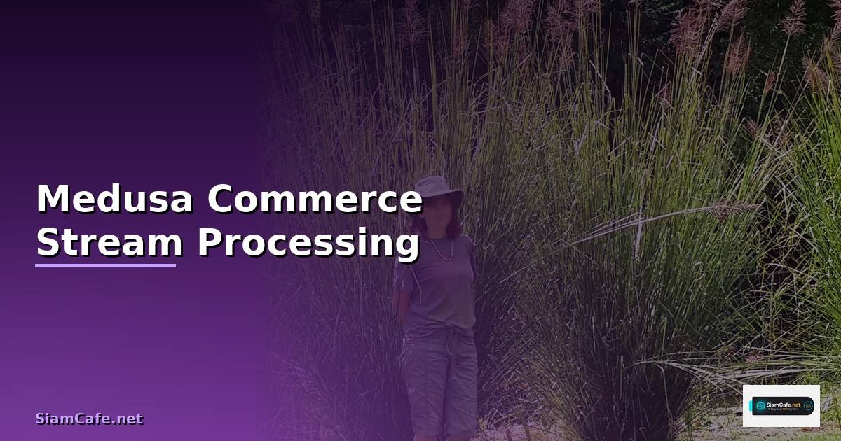 Medusa Commerce Stream Processing —