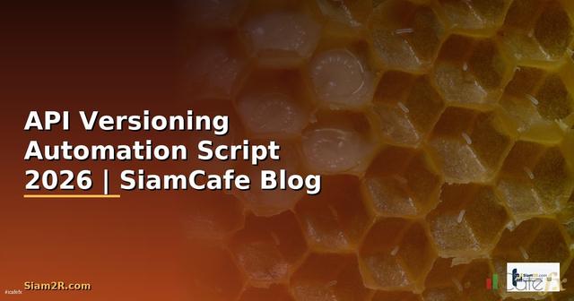 API Versioning Automation Script