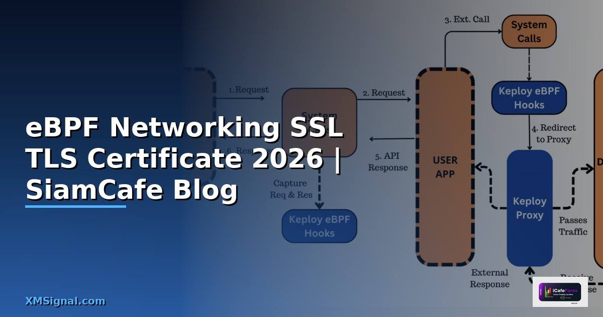 eBPF Networking SSL TLS Certificate