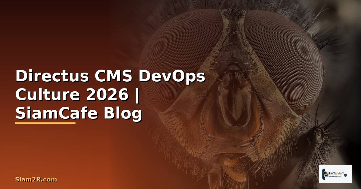 Directus CMS DevOps Culture