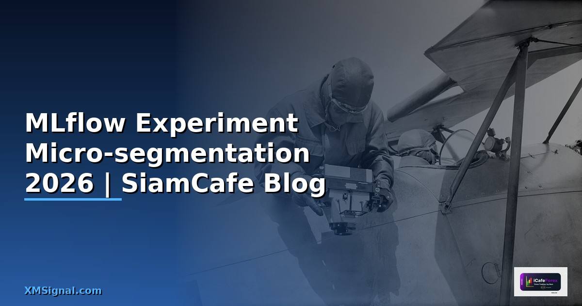 MLflow Experiment Micro-segmentation —