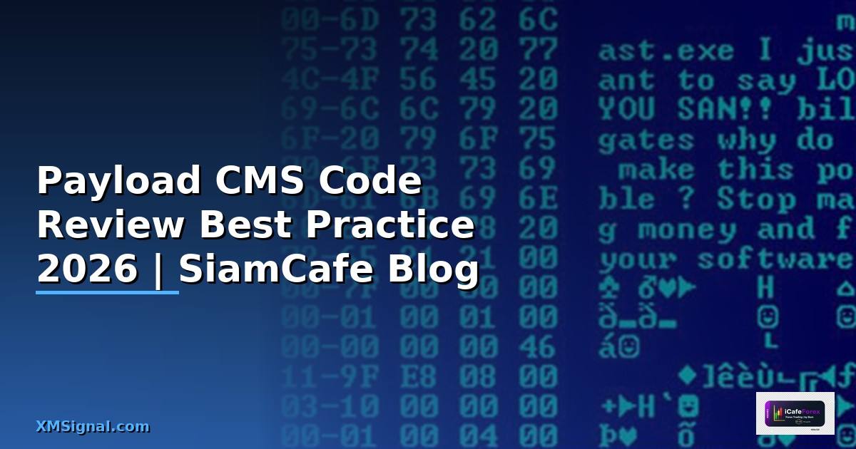 Payload CMS Code Review Best Practice