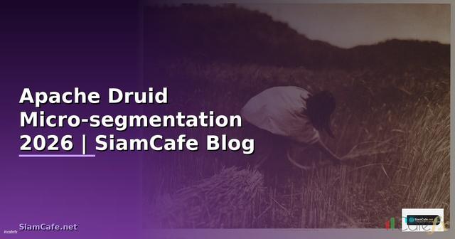 Apache Druid Micro-segmentation
