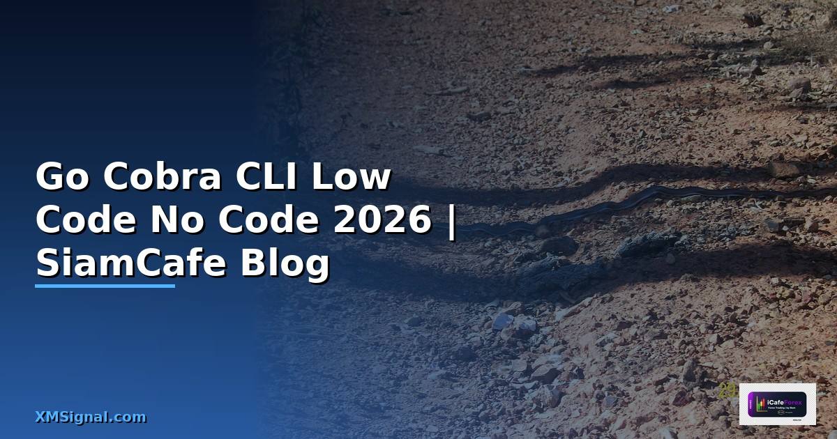 Go Cobra CLI Low Code No Code