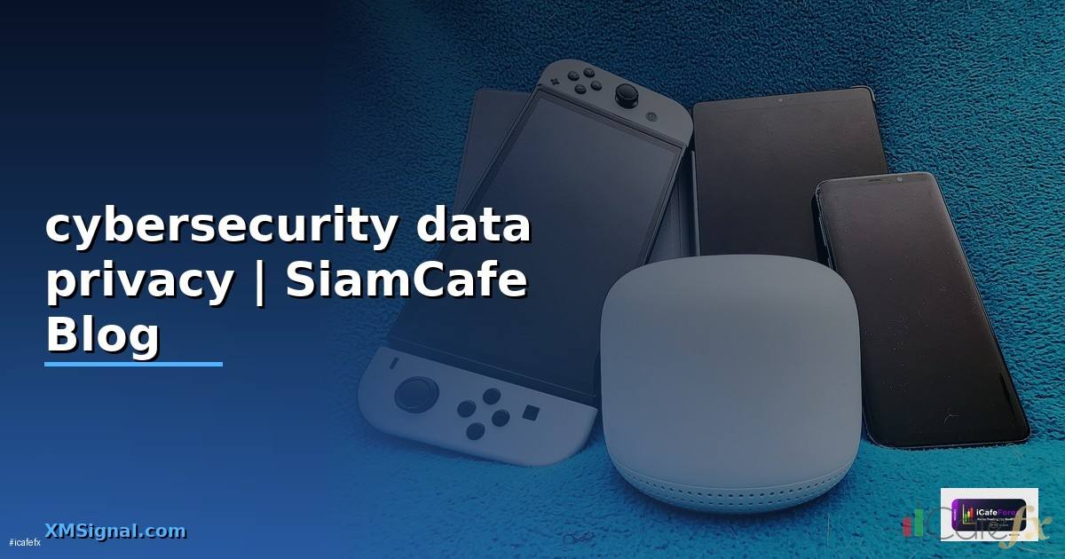 cybersecurity data privacy คือ