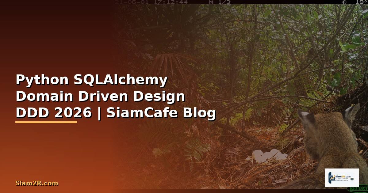 Python SQLAlchemy Domain Driven Design DDD