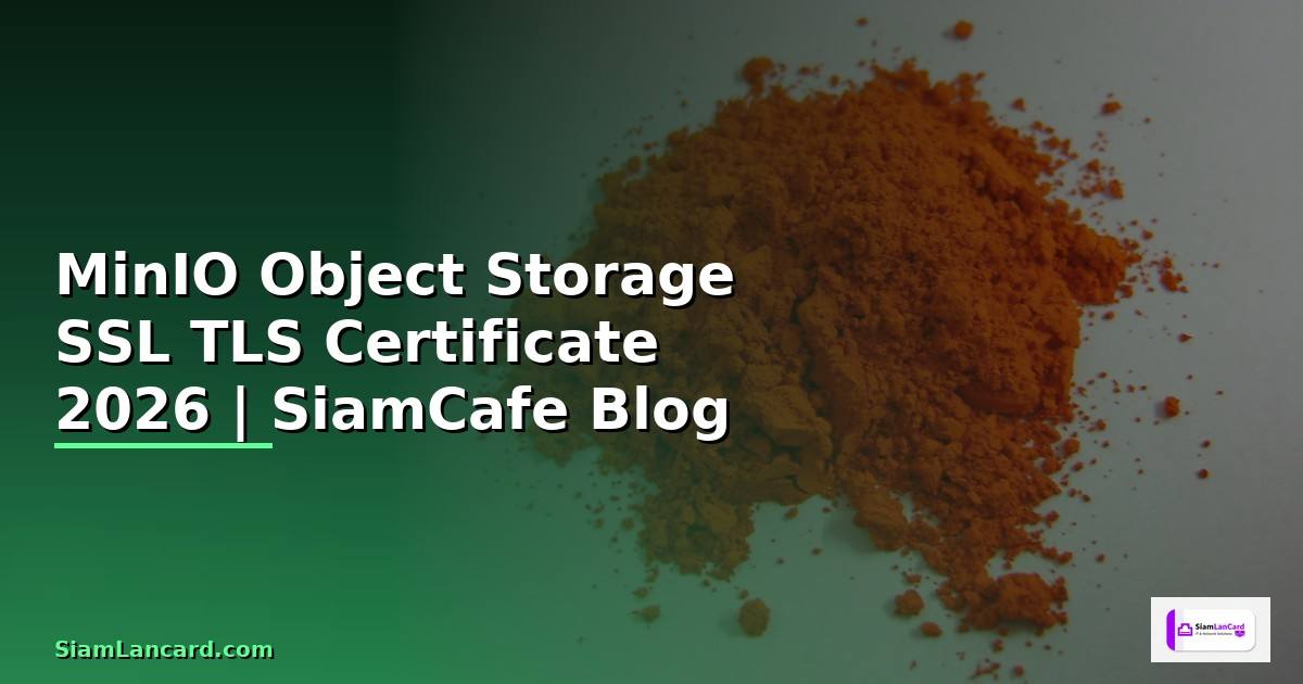 MinIO Object Storage SSL TLS Certificate