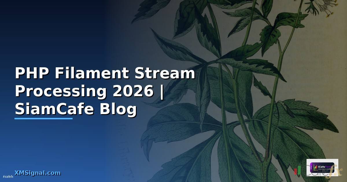 PHP Filament Stream Processing