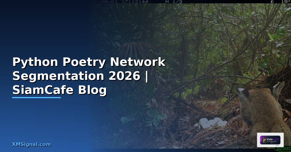 Python Poetry Network Segmentation