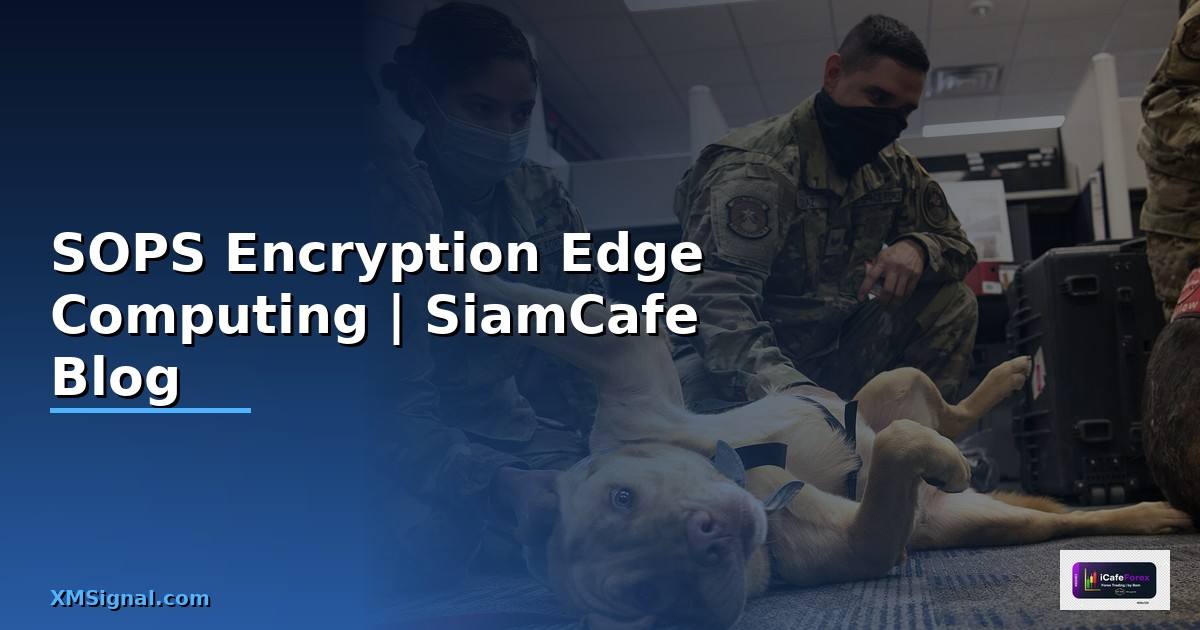 SOPS Encryption Edge Computing