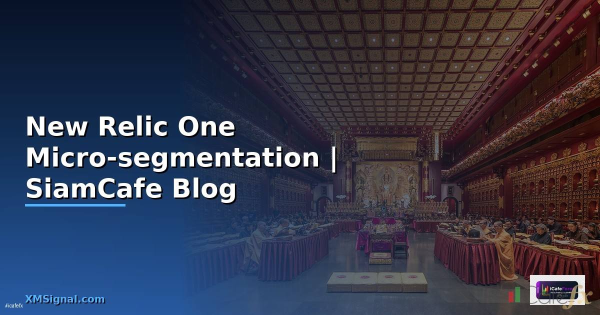 New Relic One Micro-segmentation