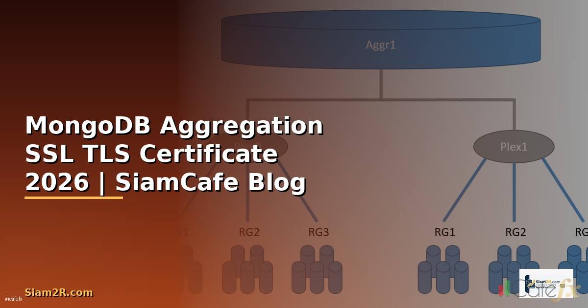 MongoDB Aggregation SSL TLS Certificate
