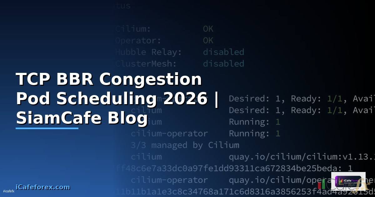 TCP BBR Congestion Pod Scheduling
