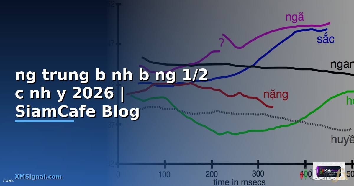 đường trung bình bằng 1/2 cạnh đáy