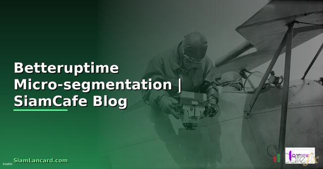 Betteruptime Micro-segmentation