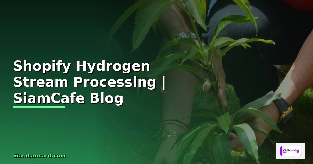 Shopify Hydrogen Stream Processing