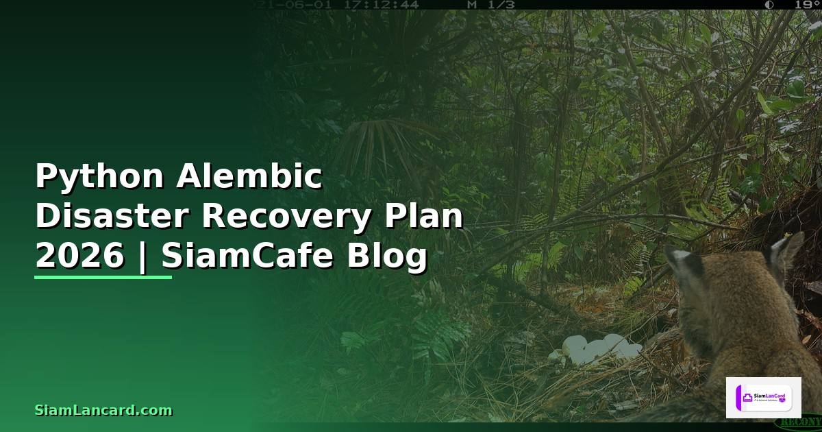 Python Alembic Disaster Recovery Plan