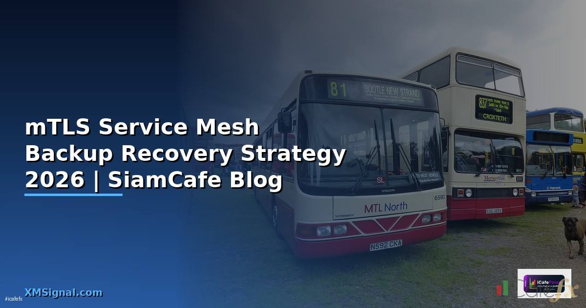 mTLS Service Mesh Backup Recovery Strategy
