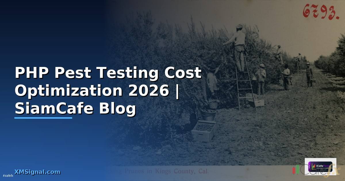 PHP Pest Testing Cost Optimization ลดค่าใช้จ่าย