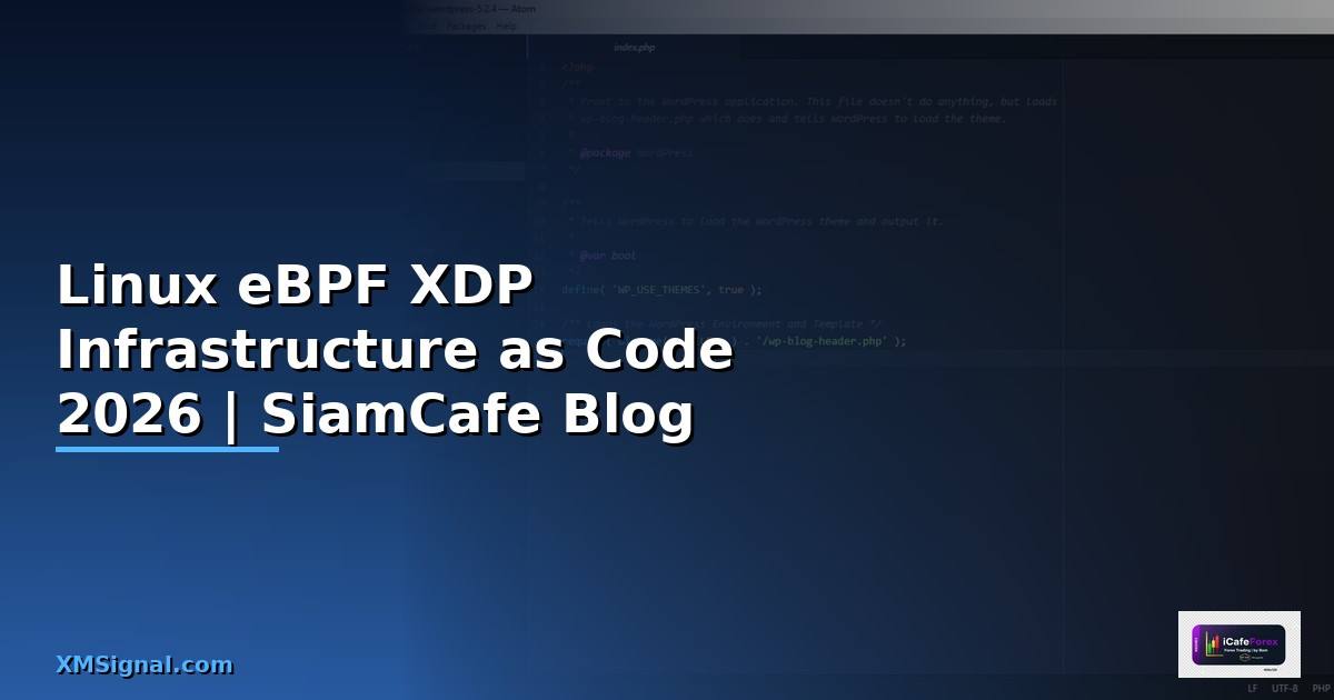 Linux eBPF XDP Infrastructure as Code