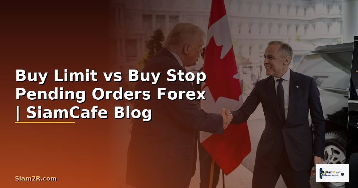 Buy Limit vs Buy Stop คืออะไร — เปรียบเทียบ