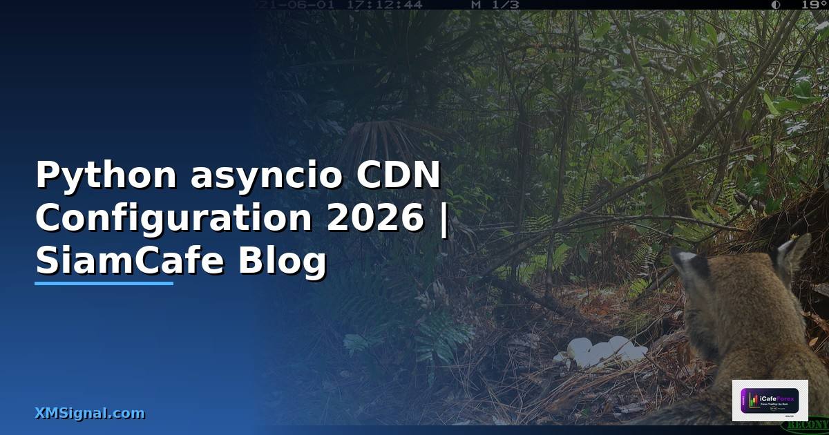 Python asyncio CDN Configuration
