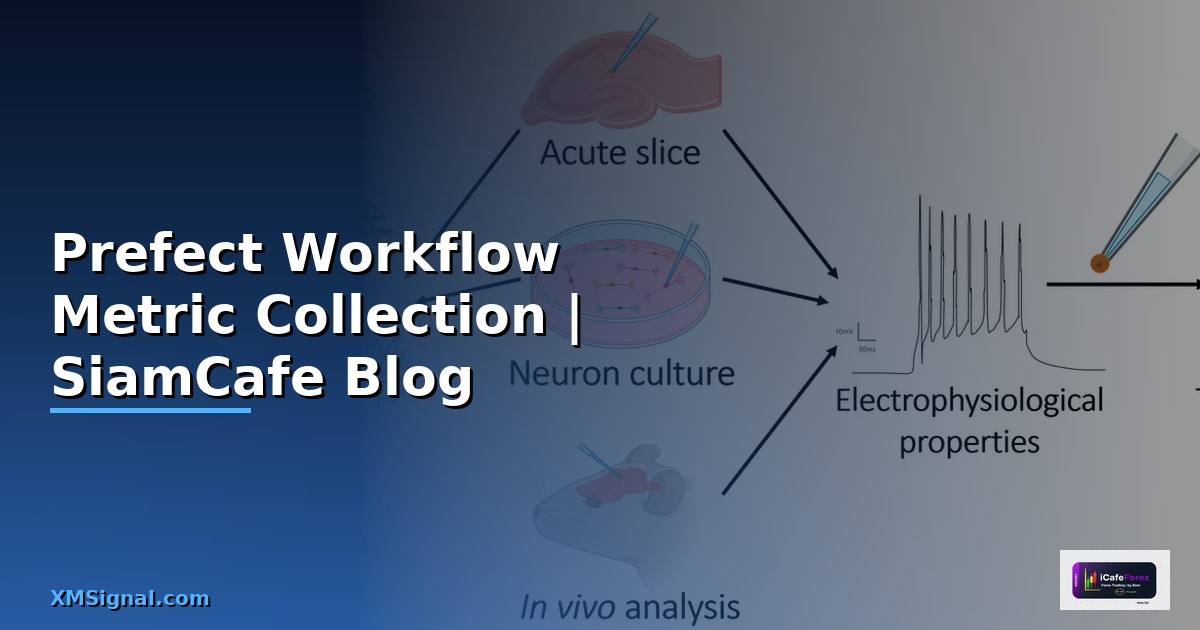 Prefect Workflow Metric Collection
