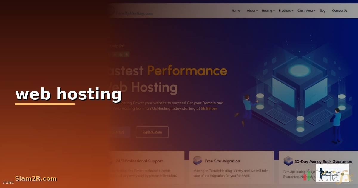 web hosting คือ — วิธีตั้งค่าและใช้งานจริงพร้อมตัวอย่าง