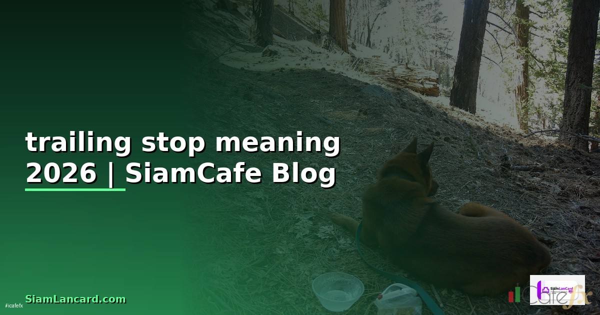 trailing stop meaning