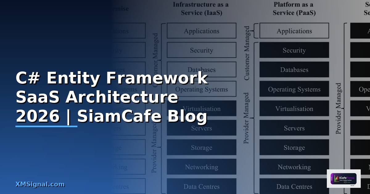 C# Entity Framework SaaS Architecture