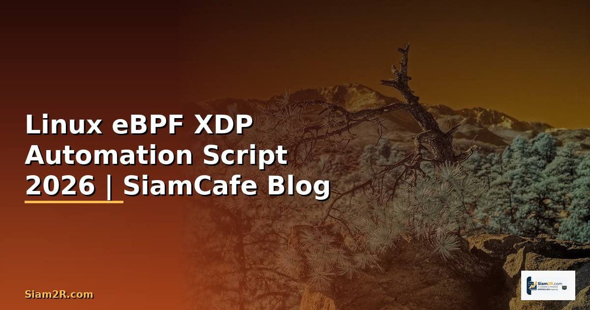 Linux eBPF XDP Automation Script