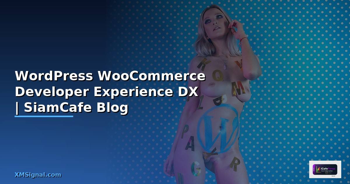 WordPress WooCommerce Developer Experience DX