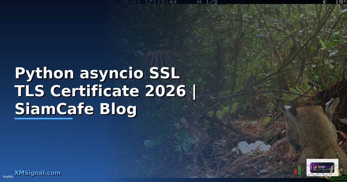 Python asyncio SSL TLS Certificate